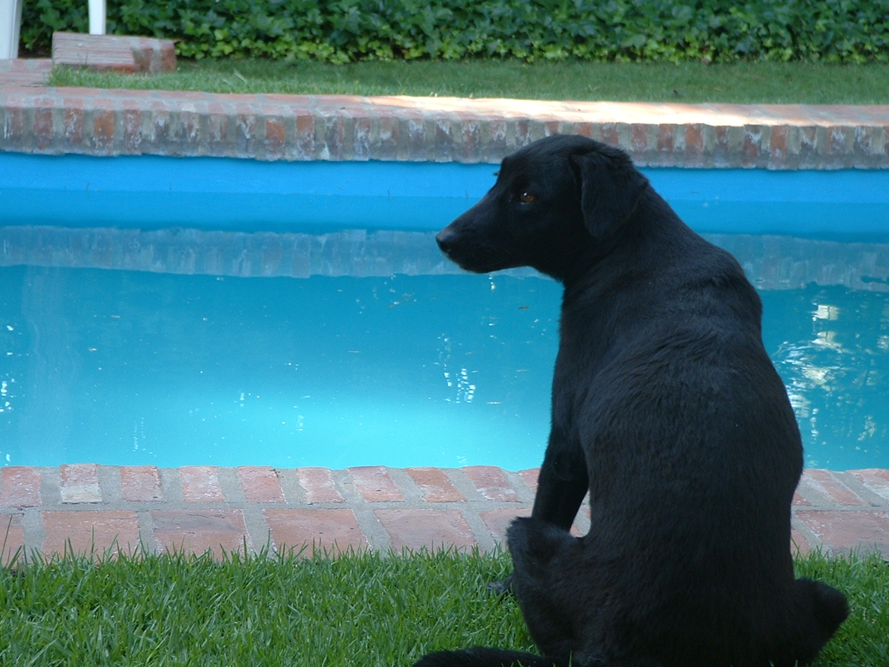 click to return to the previous page