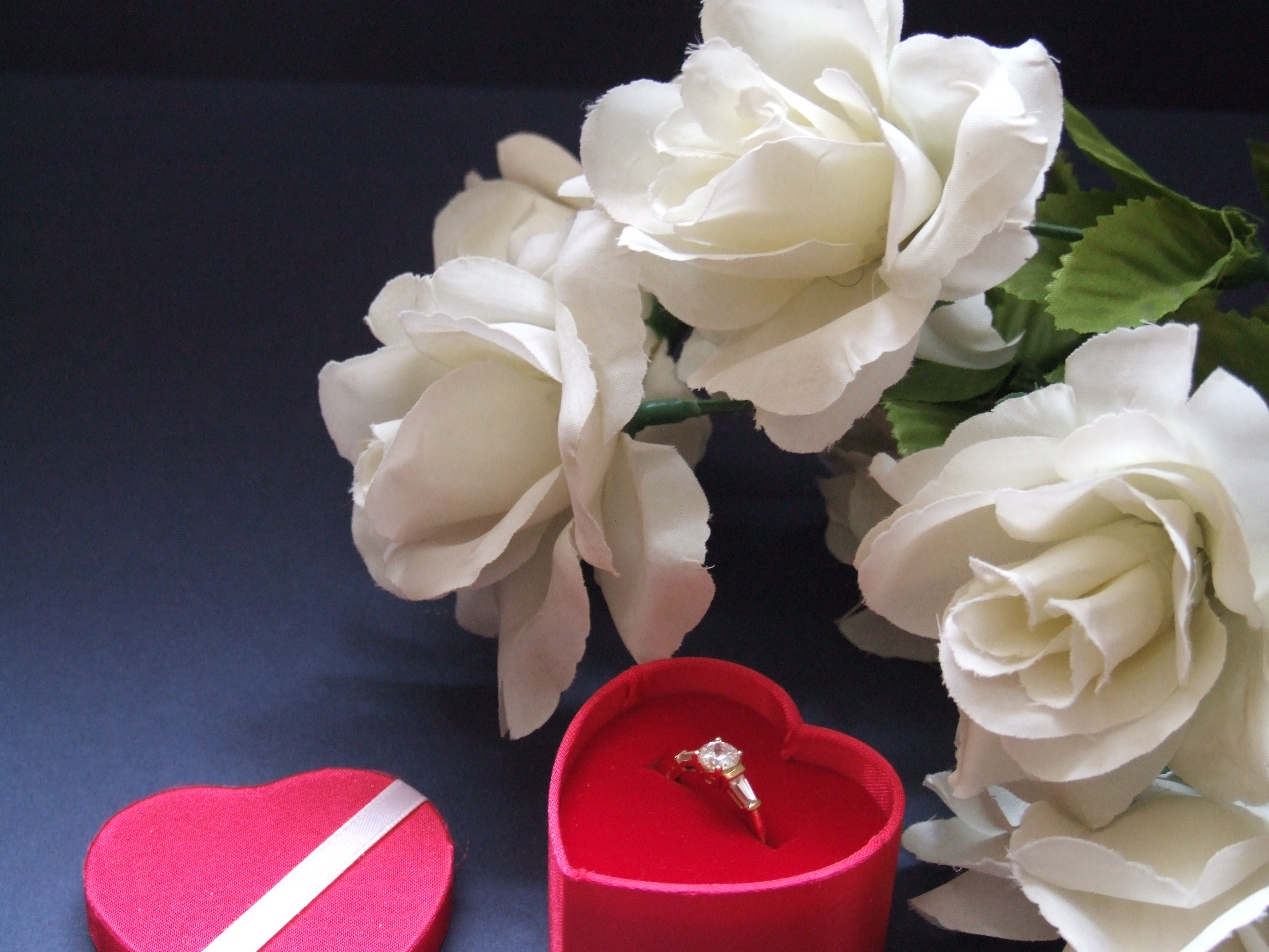 click to return to the previous page